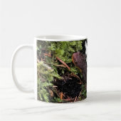 Mug Salamander Caché Sous Le Journal, Washington (Gauche)