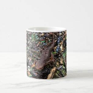 Mug Salamandre dans la forêt, Washington