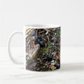 Mug Salamandre dans la forêt, Washington (Gauche)