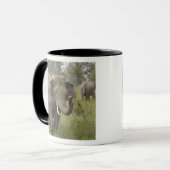 Mug Salutation des éléphants d'Asie indienne (Devant gauche)