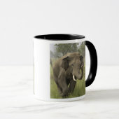 Mug Salutation des éléphants d'Asie indienne (Devant droit)