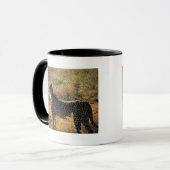 Mug Samburu Cheetah (Devant gauche)
