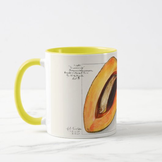 Mug Sapote (Gauche)