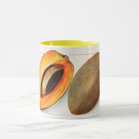 Mug Sapote (Centre)
