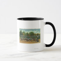 Saratoga Race Track - Vue de la ligne de départ