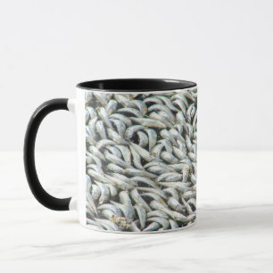 Mug Sardines-King Harbour Redondo Beach_