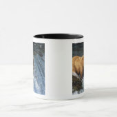 Mug Saumon Brown de l'Alaska à Brooks (Centre)