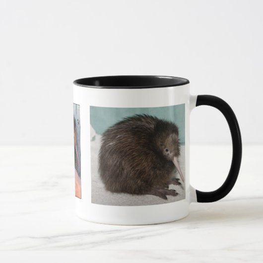 Mug sauvez les kiwis ! ! ! (Droite)