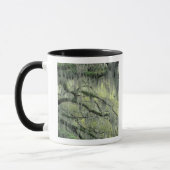 Mug Savannah, Géorgie, arbre de chêne vivant drapé de (Gauche)