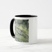 Mug Savannah, Géorgie, arbre de chêne vivant drapé de (Devant gauche)