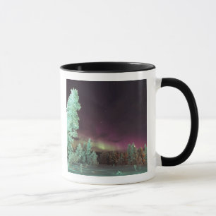 Mug Scandinavie, Finlande, Laponie, Kakslauttanen,