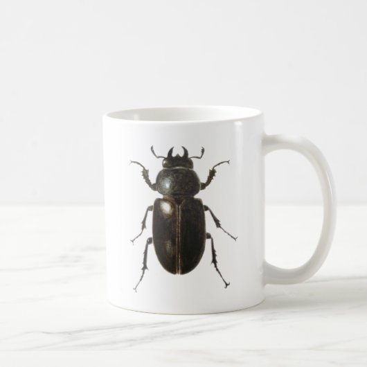 Mug Scarabée de mâle 2011 (Droite)