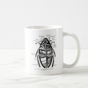 Mug Scarabée vintage d'extracteur de Hydrophilidae