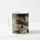 Mug Sceloporus cyanogenys (Devant gauche)