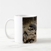 Mug Sceloporus cyanogenys (Gauche)