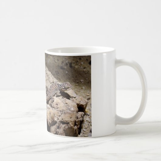 Mug Sceloporus cyanogenys (Droite)
