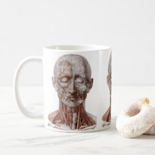 Mug Science d'anatomie humaine vintage, tête gorge nez