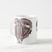 Mug Science de l'anatomie humaine vintage, yeux (Devant gauche)
