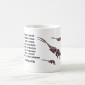 Mug Scientific classification for the brill krill  (Centre)