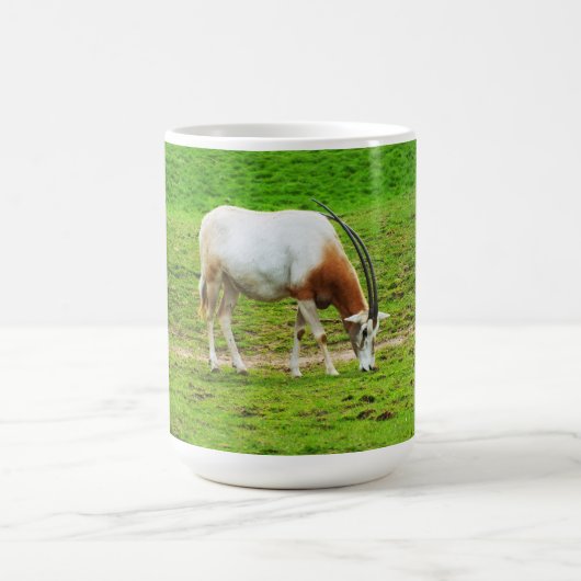 Mug Scimitar oryx (Centre)
