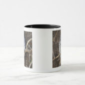 Mug Scops-Hibou africain, parc national de Kruger, sud (Centre)