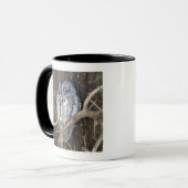 Mug Scops-Hibou africain, parc national de Kruger, sud (Devant gauche)