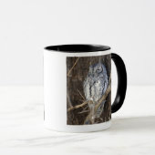 Mug Scops-Hibou africain, parc national de Kruger, sud (Devant droit)