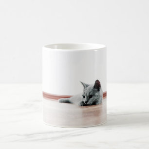 Mug Scottish Fold Cat Kitten Super mignonne