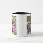 Mug SE Asie, Thaïlande, Doi Inthanon, Papilio (Centre)