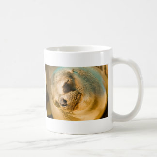 Mug Sealion