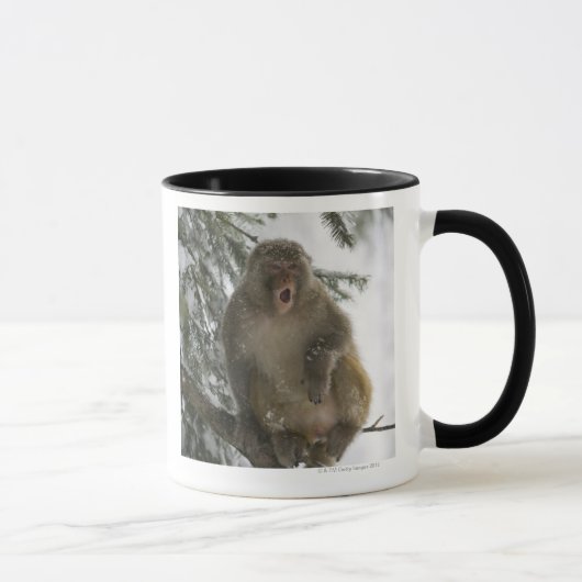 Mug Séance de singe de Macaque de rhésus (mulatta de (Droite)