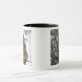 Mug Séance de singe de Macaque de rhésus (mulatta de (Centre)