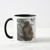 Mug Séance de singe de Macaque de rhésus (mulatta de (Gauche)