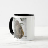 Mug Séance de singe de Macaque de rhésus (mulatta de (Devant gauche)