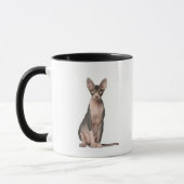 Mug Séance de Sphynx (7 mois) (Gauche)