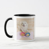 Mug séance métisse devant deux cuvettes avec le chien (Gauche)