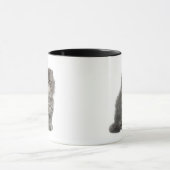 Mug Séance persane de chaton (2 mois) (Centre)