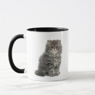 Mug Séance persane de chaton (2 mois)