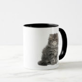 Mug Séance persane de chaton (2 mois) (Devant droit)