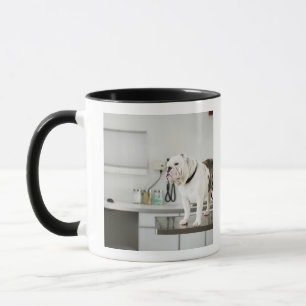 Mug Seattle, Washington, Etats-Unis