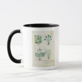 Mug Sel Bush et absinthe et cardamome d'Anthora (Gauche)