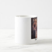 Mug Sel et Ritz, obtenus des Airedales ? (Centre)