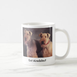 Mug Sel et Ritz, obtenus des Airedales ?