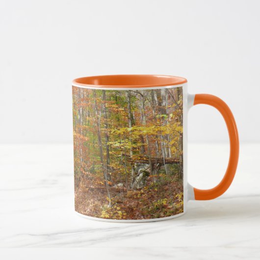 Mug Sentier Automnal Tacheté de Soleil à Laurel Hill P (Droite)