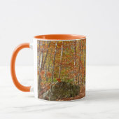 Mug Sentier Automnal Tacheté de Soleil à Laurel Hill P (Gauche)