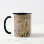 Mug Sentinelles de suricate (Suricata suricatta), Kara (Gauche)
