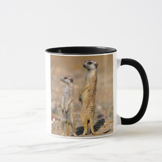 Mug Sentinelles Meerkat (Suricata Suricatta), Karas (Droite)