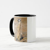 Mug Sentinelles Meerkat (Suricata Suricatta), Karas (Devant gauche)