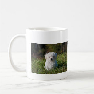 Mug service de toilettage pour animaux de compagnie aj