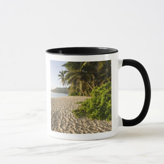 Mug Seychelles, île de Mahe, Anse Marie-Louise (Droite)